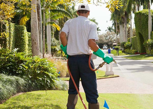 About Deferiet NY Pest Control